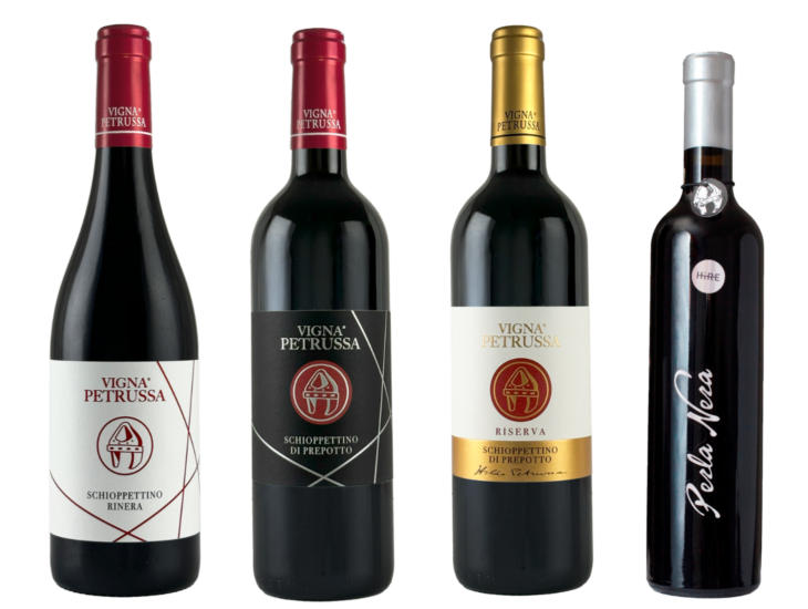 OUR 4 SHADES OF SCHIOPPETTINO
